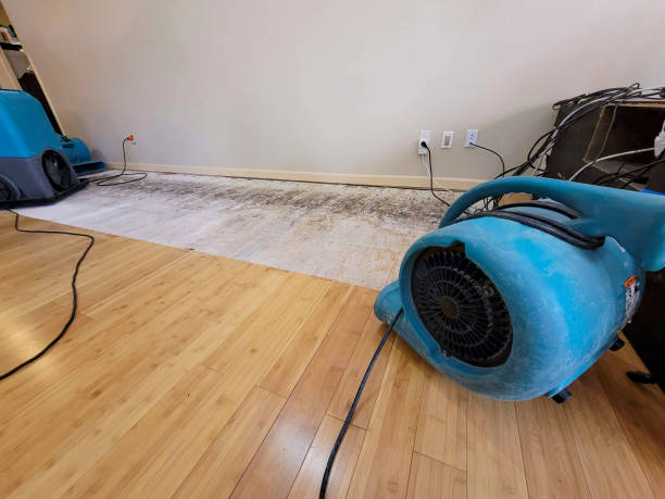 Reliable Basement Flood Cleanup contractor in Chesapeake, VA by Hirex Water Damage
