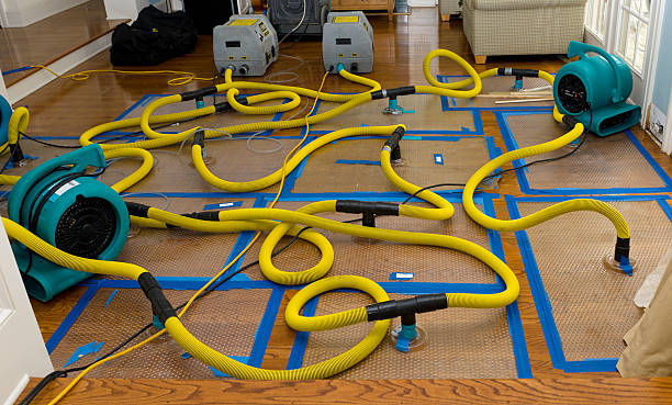 Professional Basement Flood Cleanup technician working in Chesapeake, VA